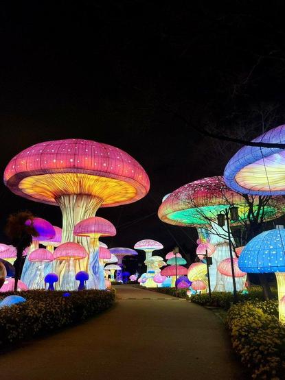 Photo nocturne d'une installation de sculptures géantes lumineuses en forme de champignons multicolores