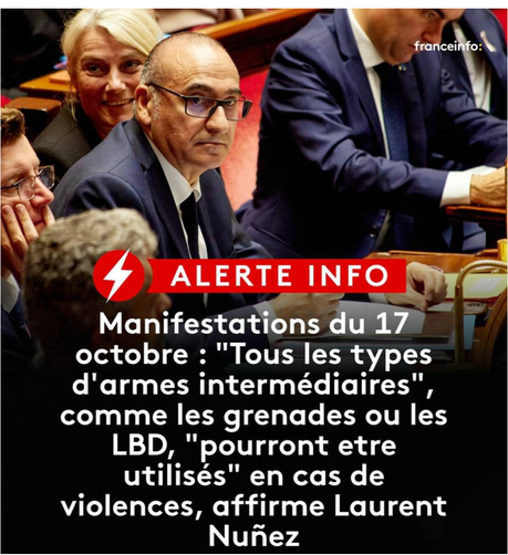franceinfo: ALERTE INFO Manifestations du 17 octobre : "Tous les types d'armes intermédiaires", comme les grenades ou les LBD, "pourront etre utilisés" en cas de violences, affirme Laurent Nuñez