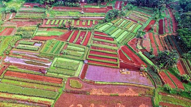 Photographie aérienne d'un patchwork de petites parcelles agricoles multicolores (Cisauk, Banten, Indonésie)