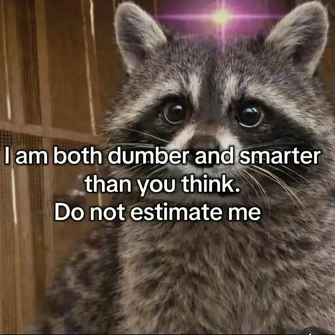 A raccoon with a purple glow on its head and a surprised expression. The text reads, "I am both dumber and smarter than you think. Do not estimate me."