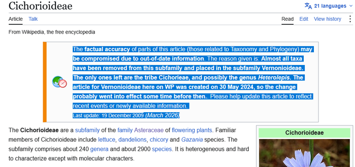 Bandeau d'avertissement sur la page wiki anglophone des Chicorioïdées

Traduction à la hache : "L'exactitude factuelle de certaines parties de cet article (celles relatives à la taxonomie et à la phylogénie) pourrait être compromise en raison d'informations obsolètes. La raison invoquée est la suivante : la quasi-totalité des taxons a été retirée de cette sous-famille pour être placée dans la sous-famille des Vernonioideae. Il ne subsiste plus que la tribu des Cichorieae et éventuellement le genre Heterolepis.
L'article consacré aux Vernonioideae sur Wikipédia a été créé le 30 mai 2024 ; ce changement a donc probablement pris effet quelque temps auparavant. Veuillez contribuer à la mise à jour de cet article afin qu'il reflète les développements récents ou les informations nouvellement disponibles.
Dernière mise à jour : 19 décembre 2009 (mars 2026)"