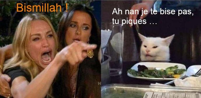 Une femme blonde qui pleure de rage crie "Bismillah" en pointant du doigt vers un chat blanc insolent, qui lui répond "Ah nan je te bise pas, tu piques ..."