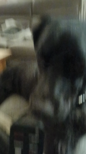 Image attached toot