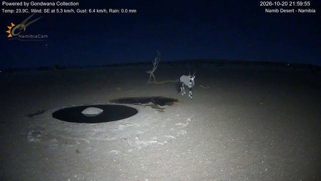 Immagine da una telecamera vicino a una pozza d'acqua nel deserto della Namibia
