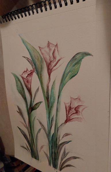 Mauvaise photo d'une super aquarelle d'arum rouge violacé avec des teintes de feuilles très délicates