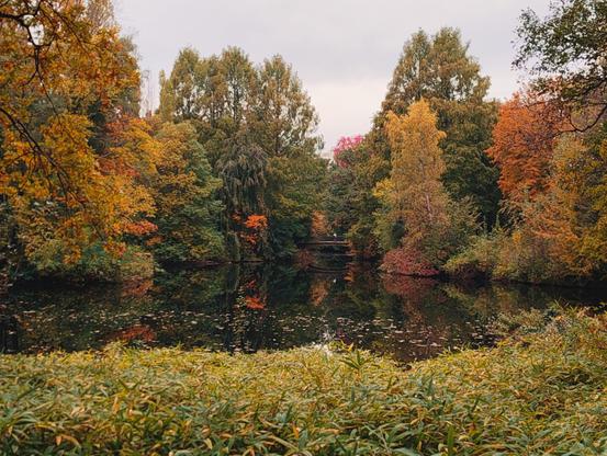 Photo of a pond surrounded by trees in shades of green, yellow and orange