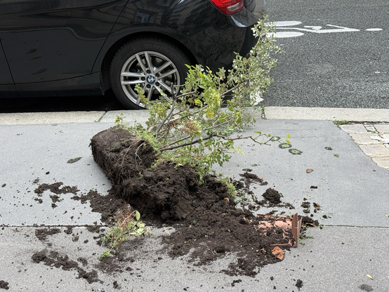 Grosse jardiniere fracassée au sol, elle fait bien 80cm de long