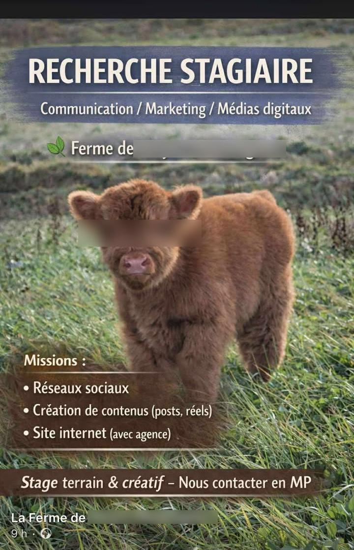 Posted media